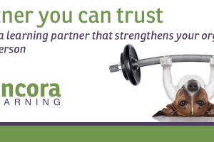 Ancora Learning | A Partner You Can Trust